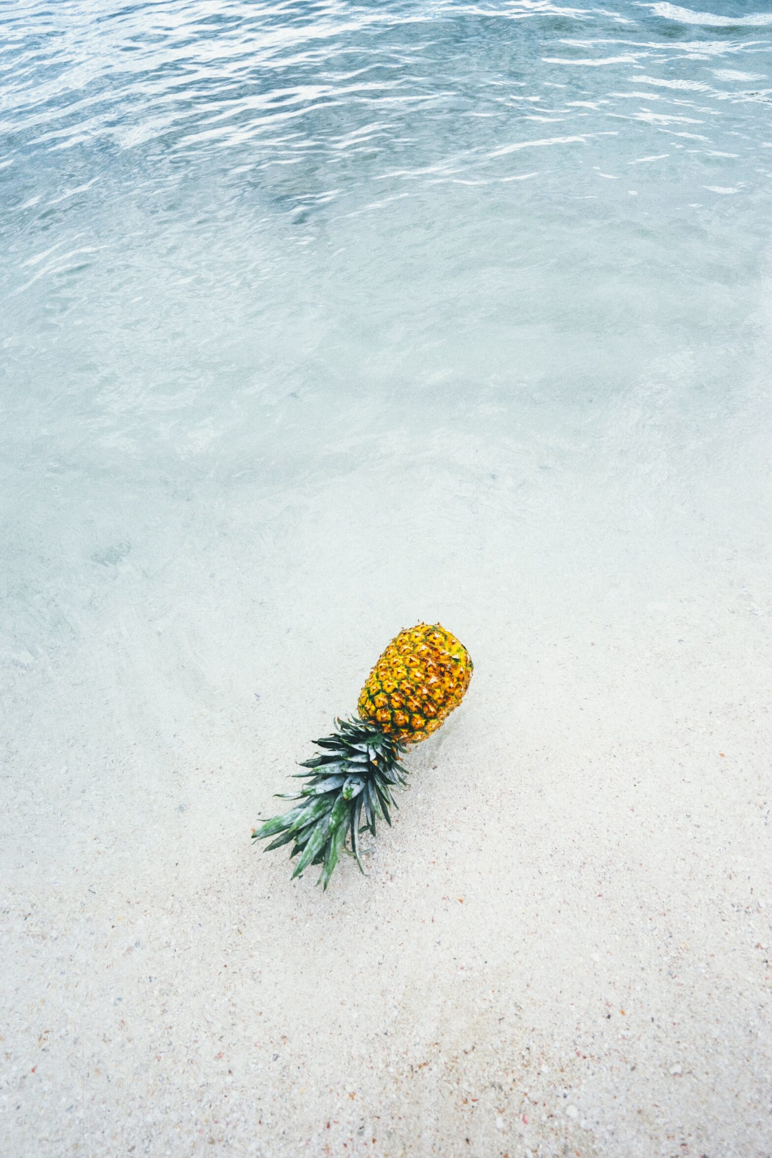 pineapple tattoo meaning