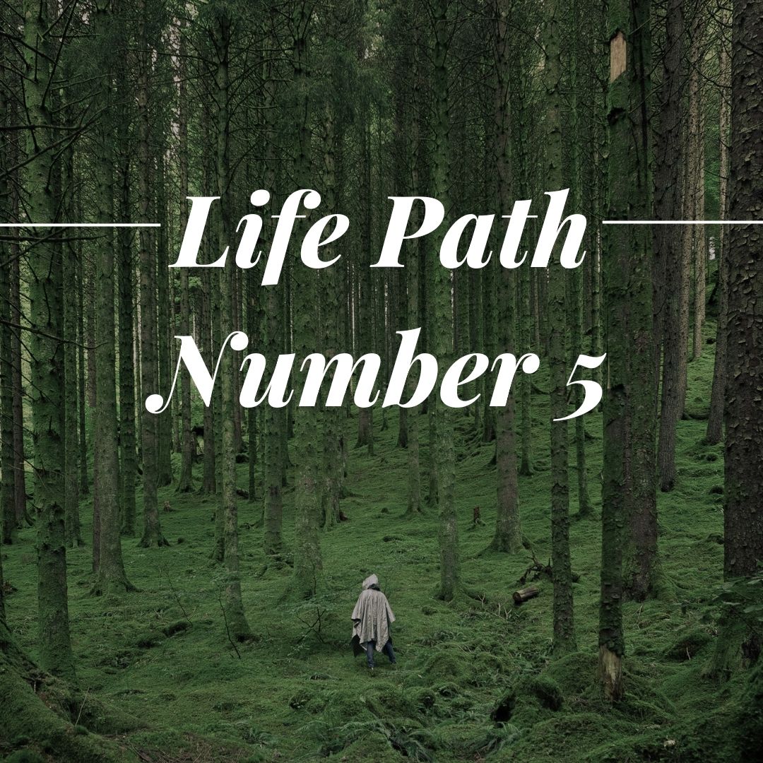 Life Path Number 5 is all about adventure and freedom. Learn here how that can affect many aspects of life. Pictured: A wide shot of a person carving a path through the woods.