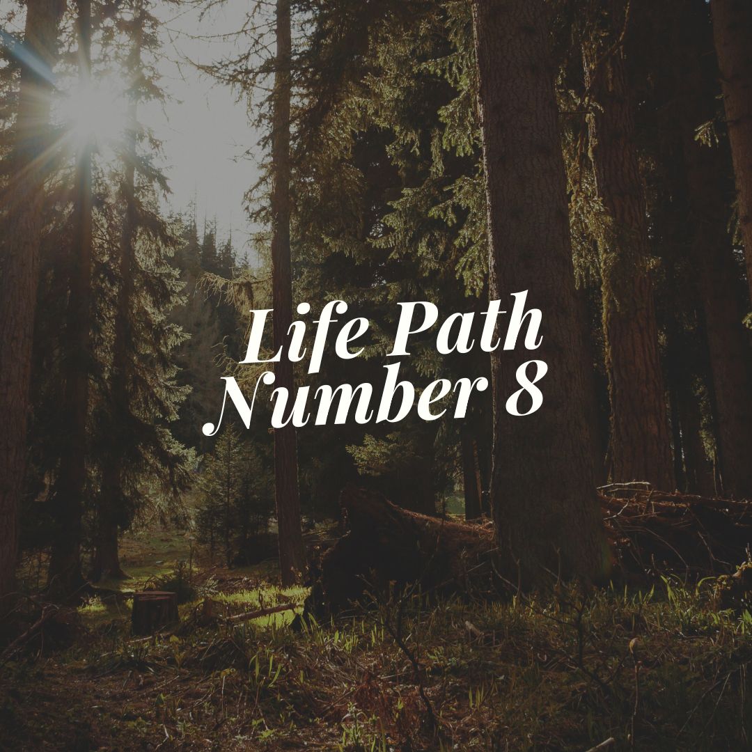 Life path number 8 is about security and financial wealth. Take ap moment to look at what this path means for your life.