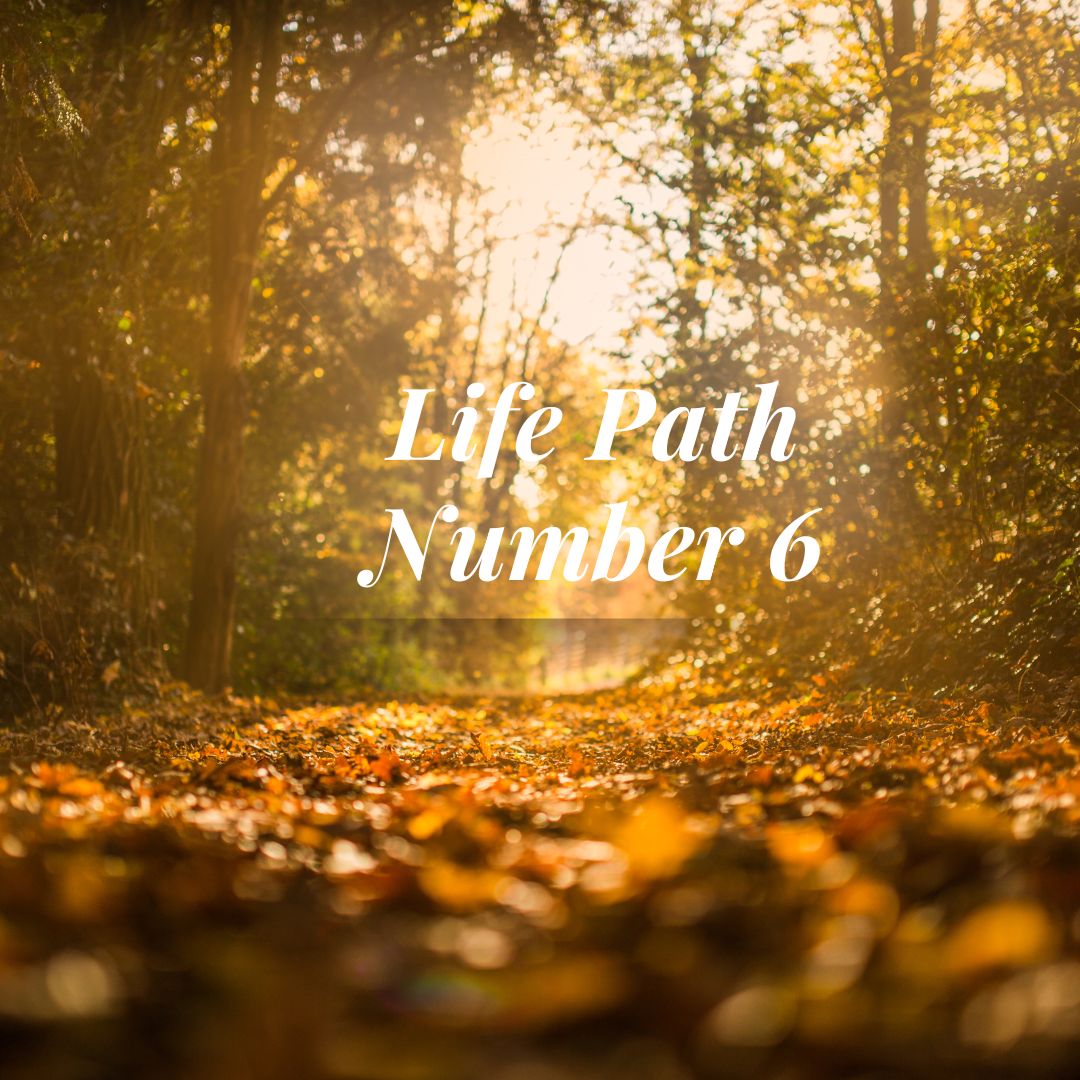 Life path number 6 is characterized by love and compassion. Pictured: a path in a forest with leaves on the ground.