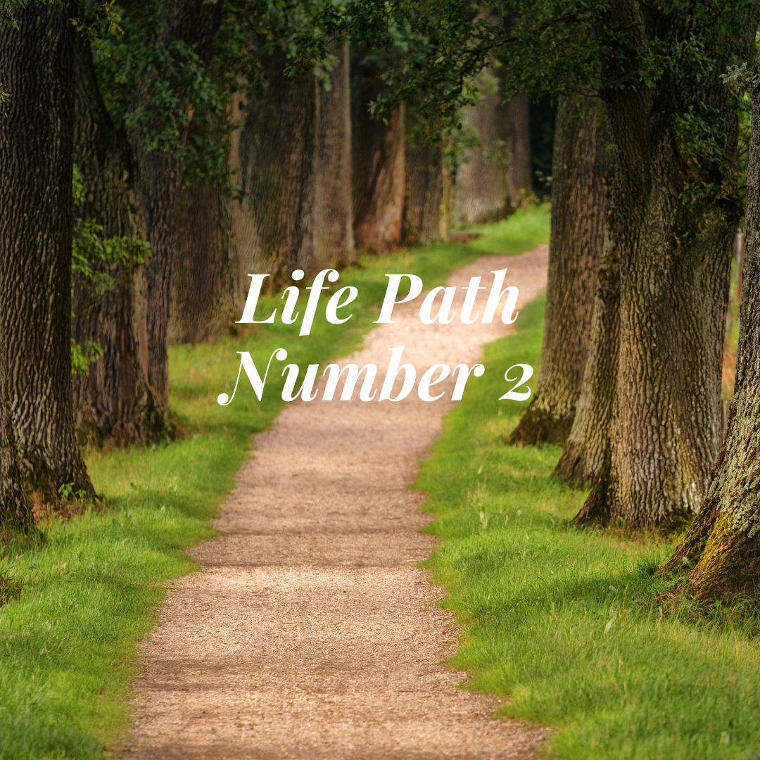 Life Path Number 2 is all about being a people person. Learn how that can affect one's life. Pictured: A wooded path between trees.