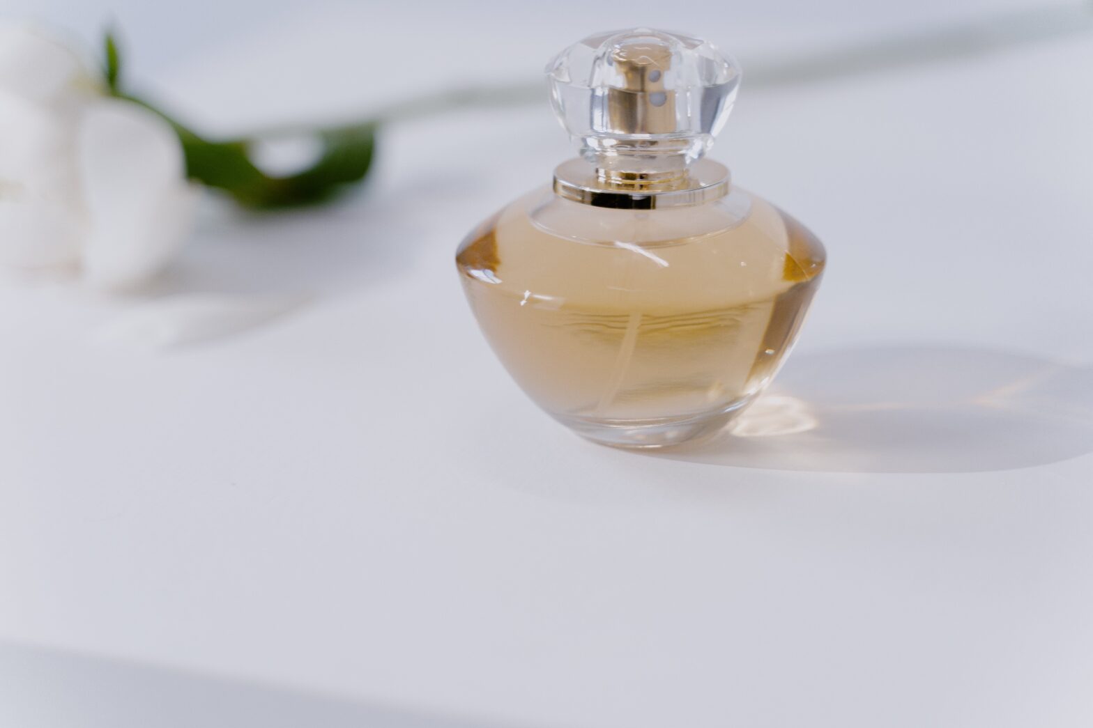 clear-glass-perfume-bottle-on-the-table