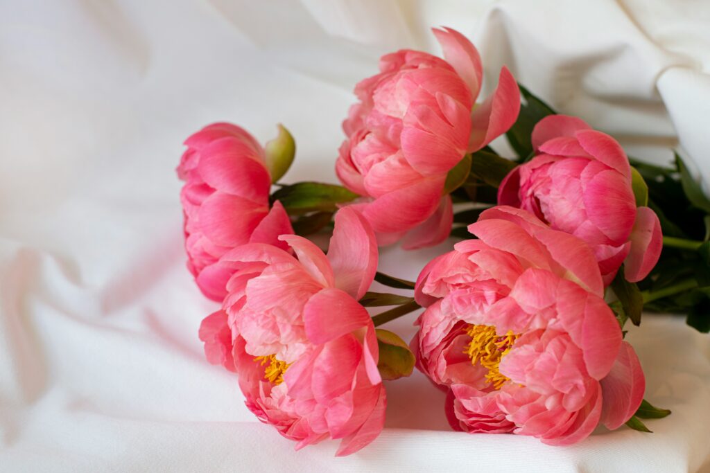 Who says flowers have to be for romantic partners. Grab a few of your gal pals and make floral bouquets for this Galentine's Day idea. Pictured: Pink peony flowers.