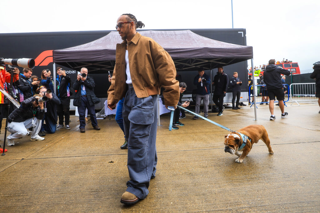 National Dog Day pictured: Lewis Hamilton walking his dog